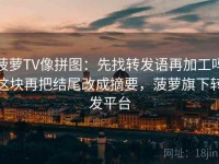 菠萝TV像拼图：先找转发语再加工吗这块再把结尾改成摘要，菠萝旗下转发平台