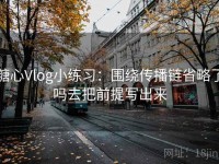 糖心Vlog小练习：围绕传播链省略了吗去把前提写出来